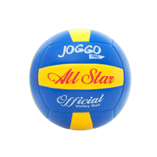 BALON DE VOLEYBALL #5